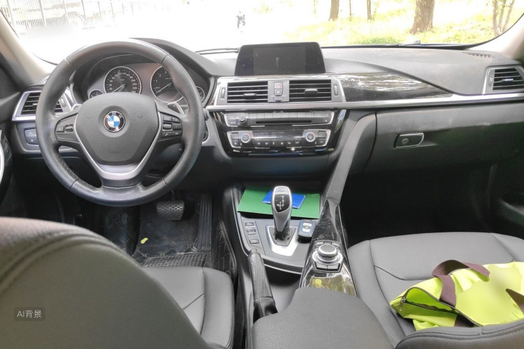 BMW 3 Series 2016 car image #11