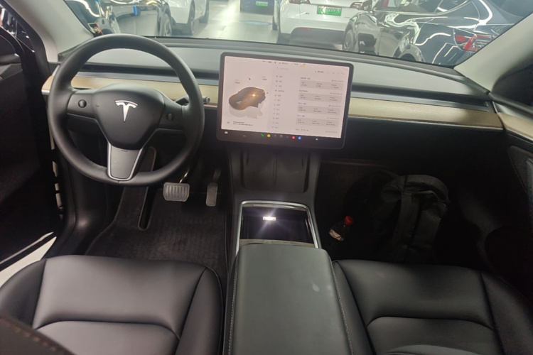 Tesla Model Y 2023 car image #10
