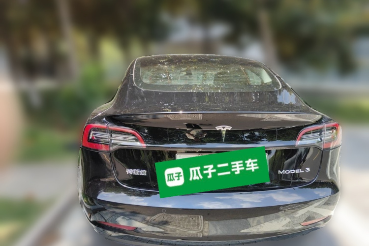 Tesla Model 3 2021 #4 Tesla Model 3 2021 immagine di auto #4