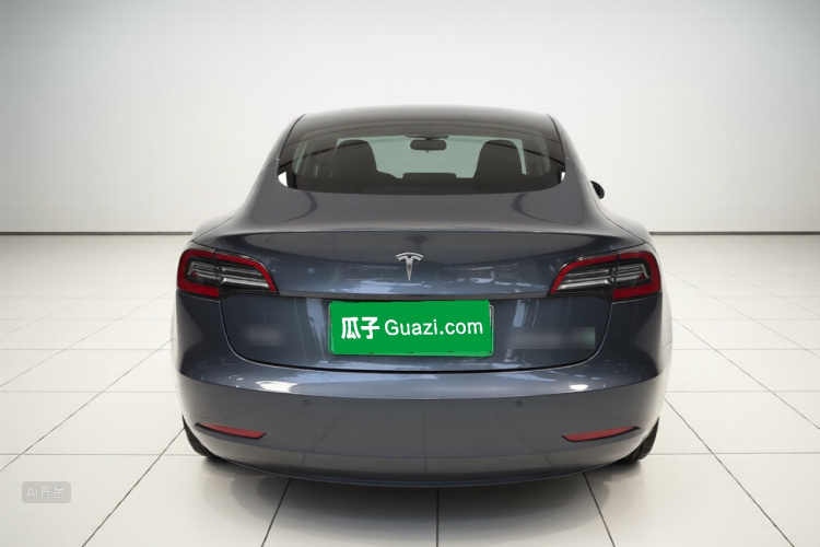 Tesla Model 3 2021 #6 Tesla Model 3 2021 صورة سيارة #6