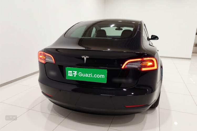 Tesla Model 3 2021 car image #6