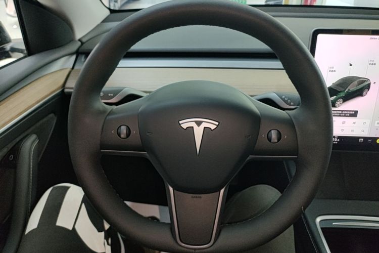 Tesla Model Y 2021 #11 Tesla Model Y 2021 car image #11