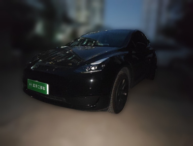 Tesla Model Y 2023 Tesla Model Y 2023 car image