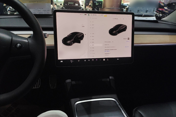 Tesla Model 3 2022 #10 Tesla Model 3 2022 car image #10