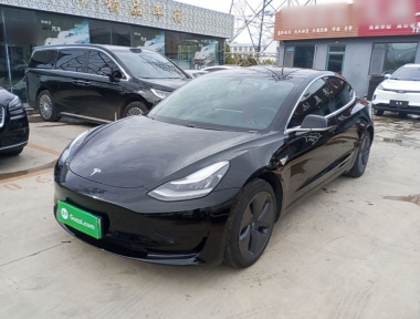 Tesla Model 3 2020 Tesla Model 3 2020 car image