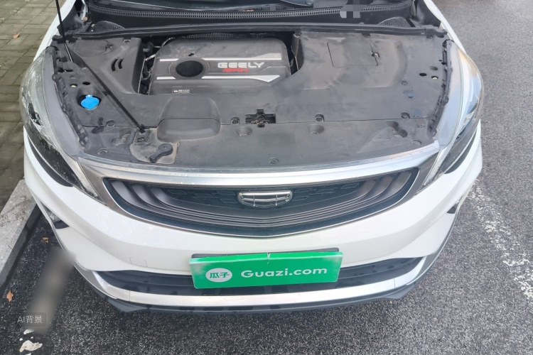 GEELY Emgrand GS 2020 car image #22