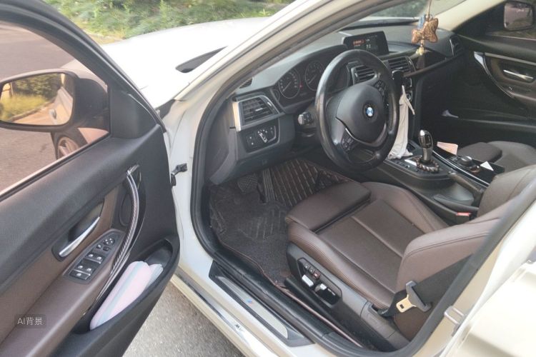 BMW 3 Series 2017 car image #18