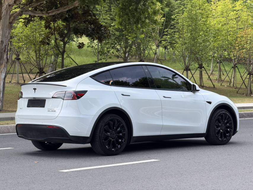 Tesla Model Y 2024 car image #4