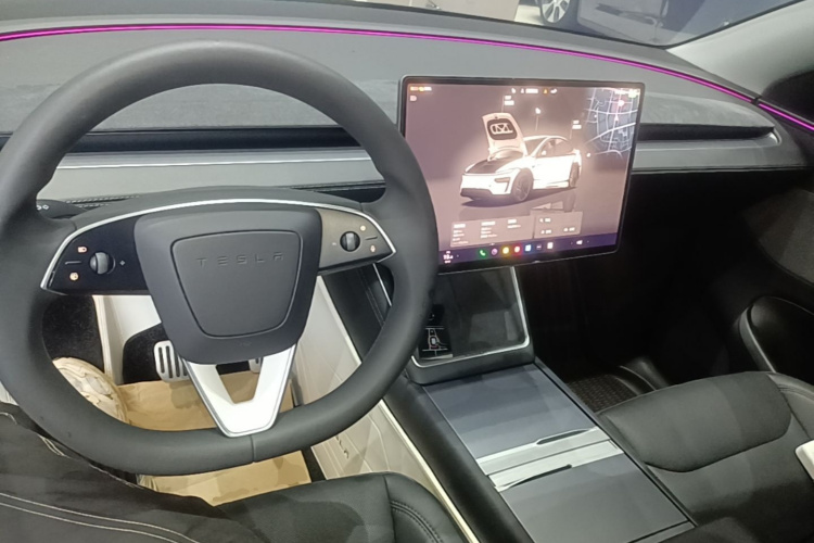 Tesla Model Y 2025 immagine di auto #10