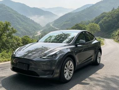 Tesla Model Y 2024 Tesla Model Y 2024 car image
