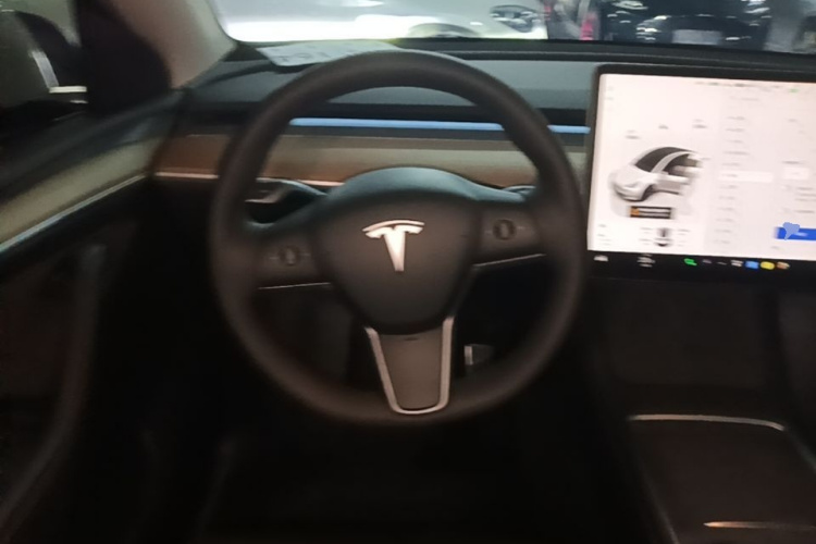 Tesla Model Y 2022 car image #11
