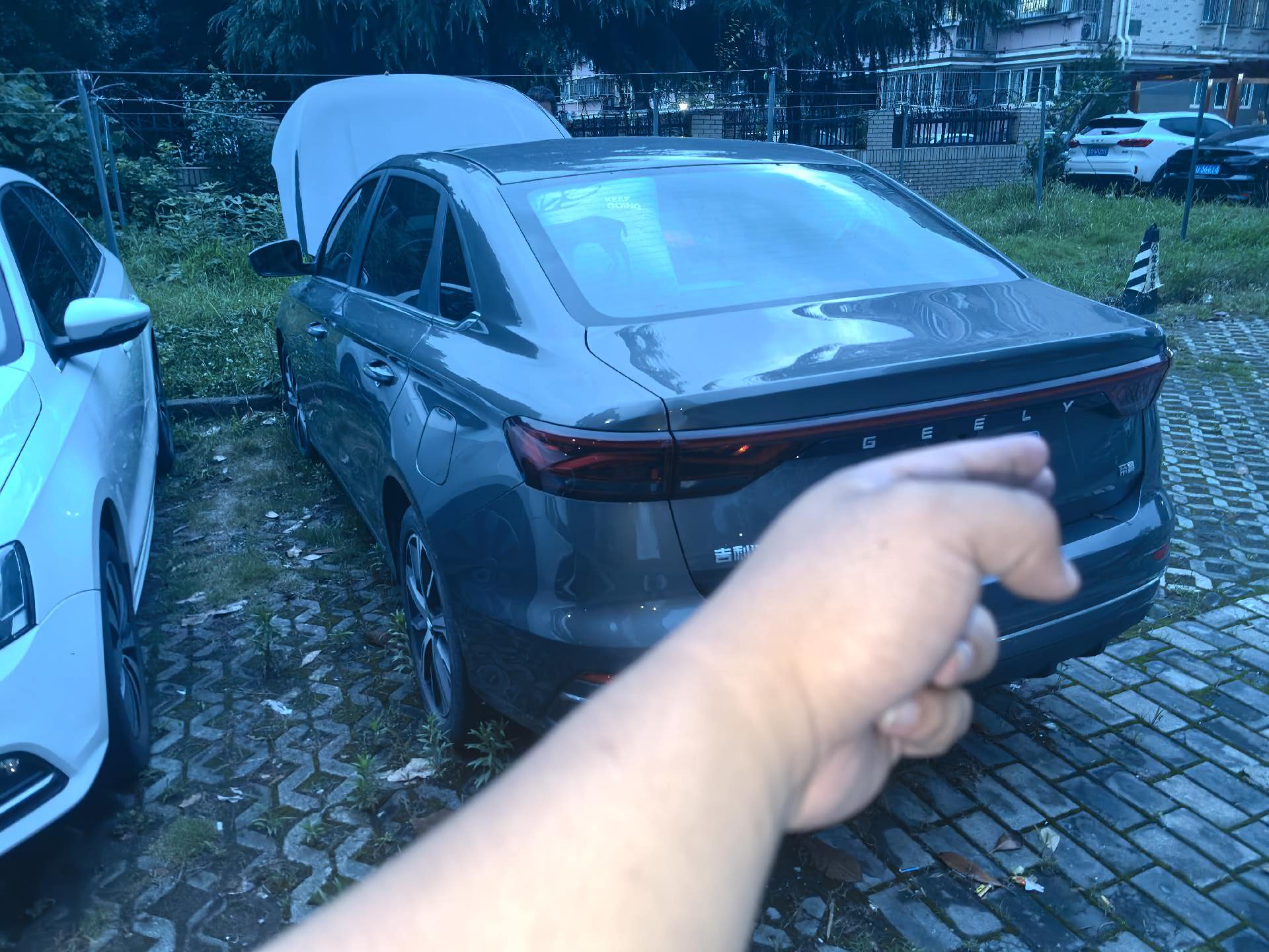 GEELY Emgrand L 2021 car image #6