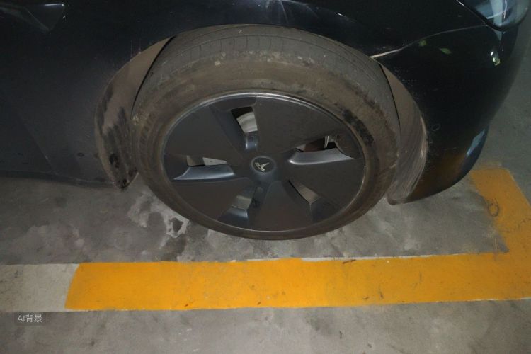 Tesla Model 3 2023 car image #9