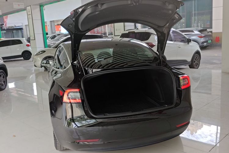 Tesla Model 3 2020 #19 Tesla Model 3 2020 car image #19