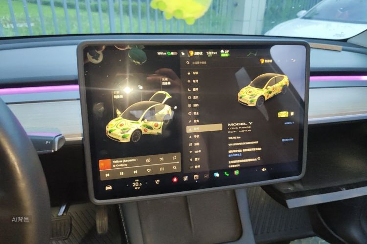 Tesla Model Y 2021 car image #13