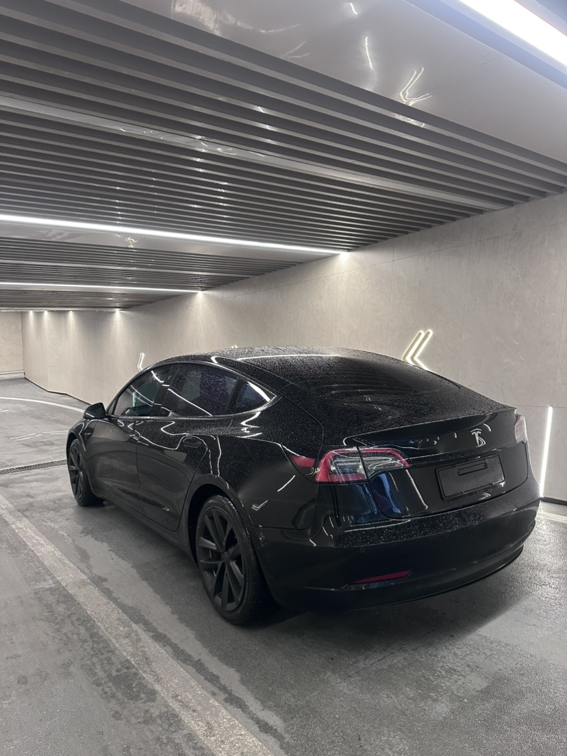 Tesla Model 3 2023 immagine di auto #2