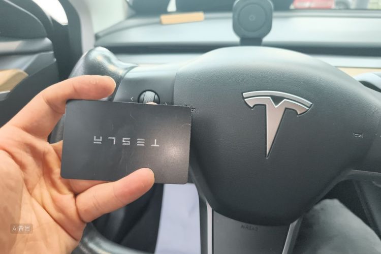 Tesla Model 3 2022 immagine di auto #10
