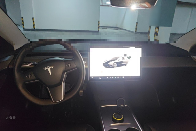 Tesla Model 3 2022 car image #11