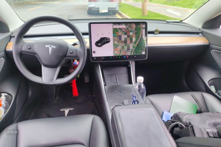 Tesla Model 3 2020 immagine di auto #11