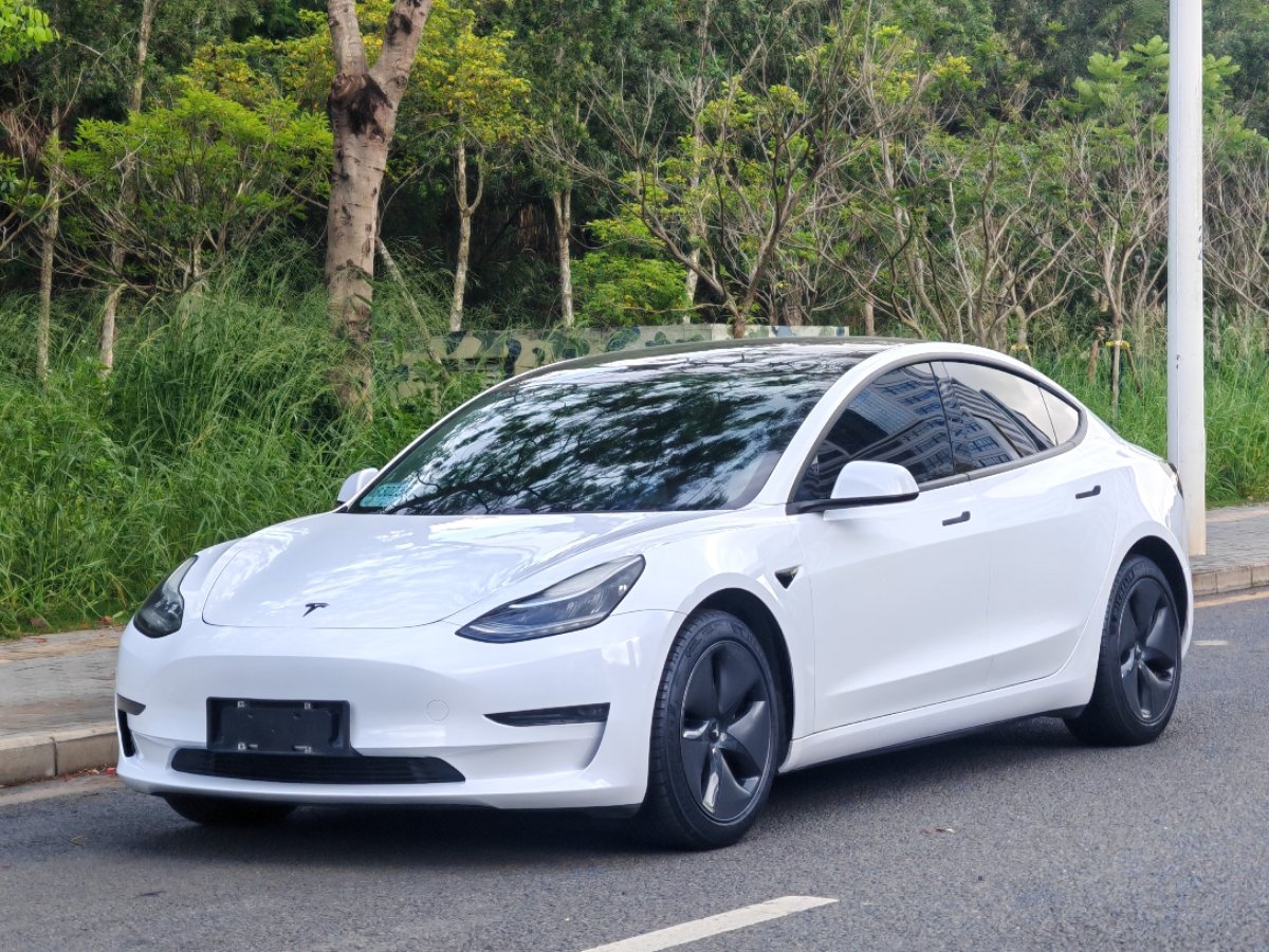 Tesla Model 3 2020 Tesla Model 3 2020 car image