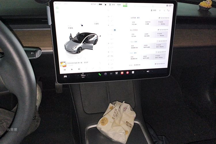 Tesla Model 3 2022 car image #15
