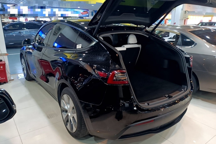 Tesla Model Y 2022 #5 Tesla Model Y 2022 car image #5