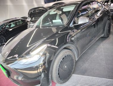 Tesla Model Y 2024 car image 