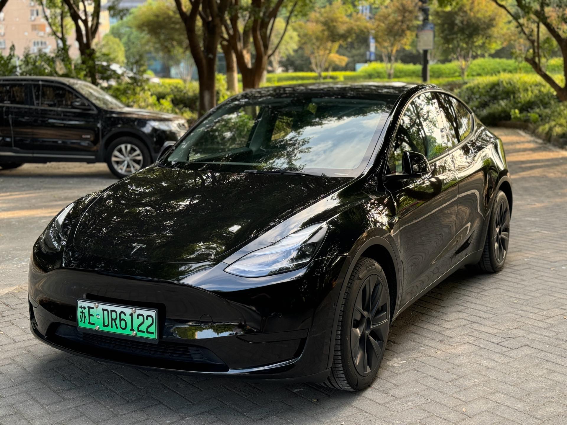 Tesla Model Y 2022 Tesla Model Y 2022 car image