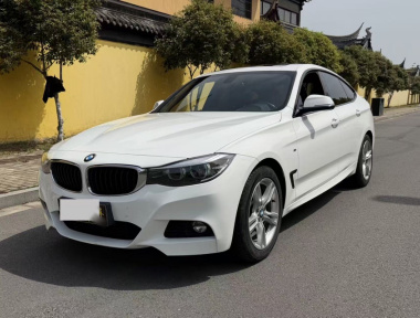 BMW 3 Series GT 2019 car image 