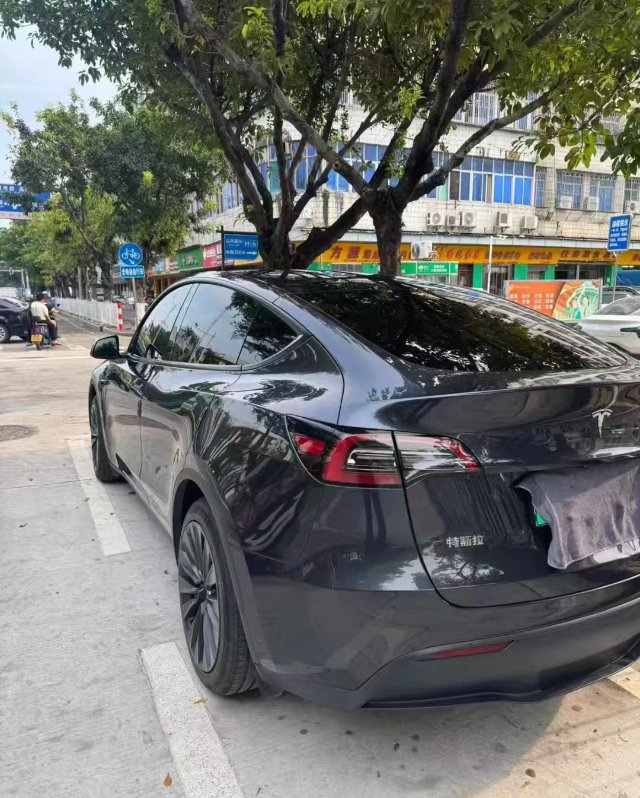 Tesla Model Y 2024 car image #4