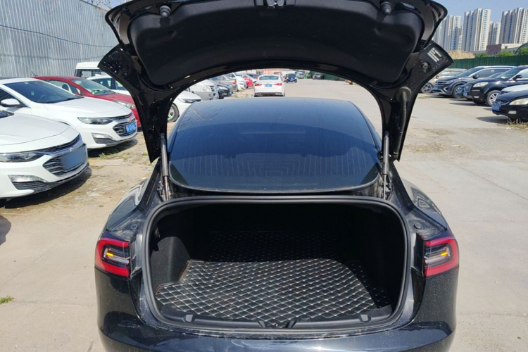 Tesla Model 3 2020 car image #19