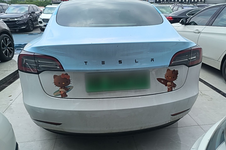 Tesla Model 3 2022 immagine di auto #6