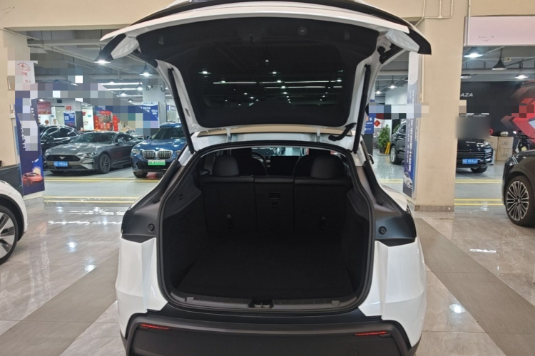 Tesla Model Y 2025 #19 Tesla Model Y 2025 immagine di auto #19