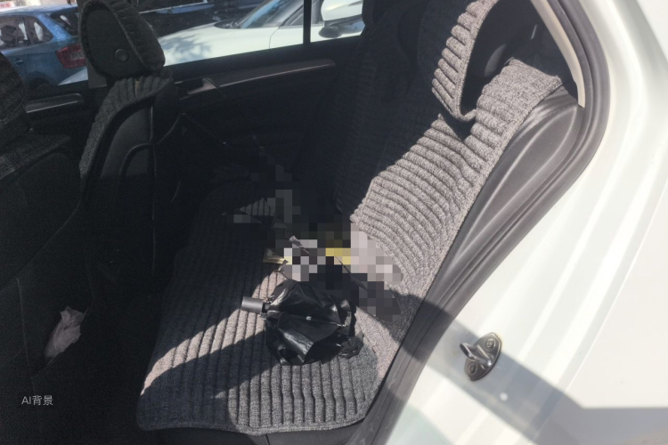 Volkswagen Golf 2016 car image #19