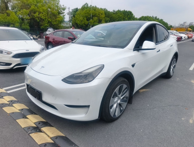 Tesla Model Y 2021 car image 