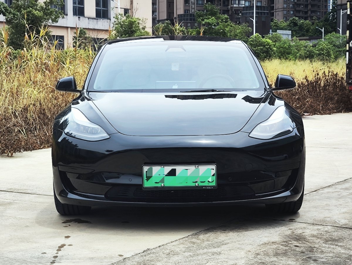 Tesla Model 3 2021 car image #2