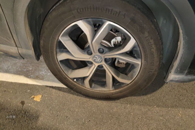 BYD Yuan Plus 2024 car image #9