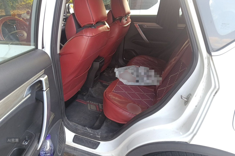 GEELY Coolray 2019 imagen de coche #19