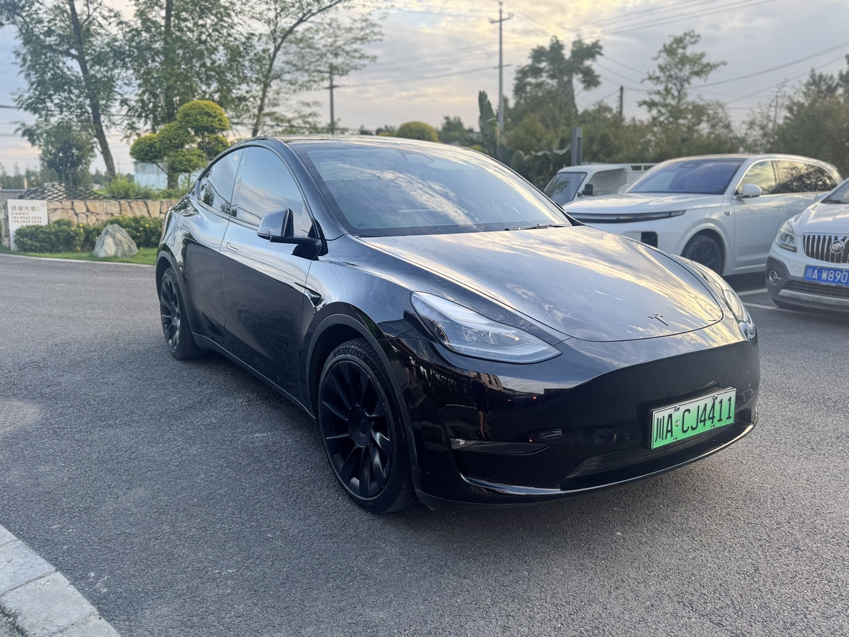 Tesla Model Y 2021 car image #3