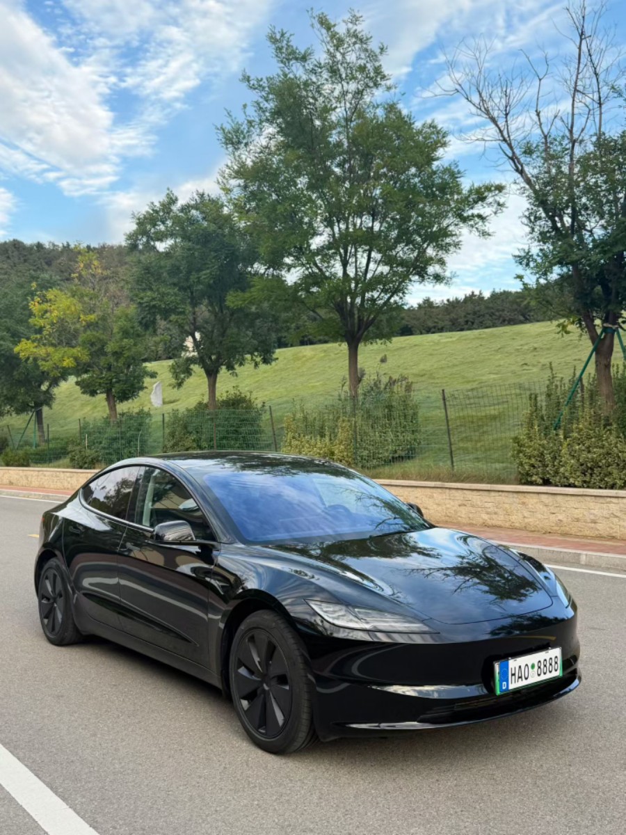 Tesla Model 3 2026 Tesla Model 3 2026 car image