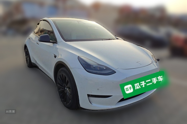 Tesla Model Y 2021 car image #4