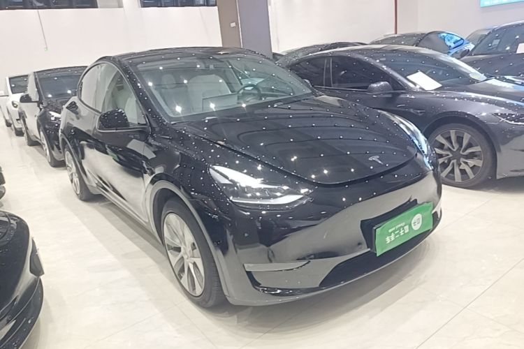 Tesla Model Y 2021 #6 Tesla Model Y 2021 car image #6