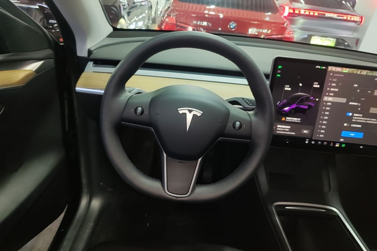 Tesla Model Y 2023 #11 Tesla Model Y 2023 car image #11