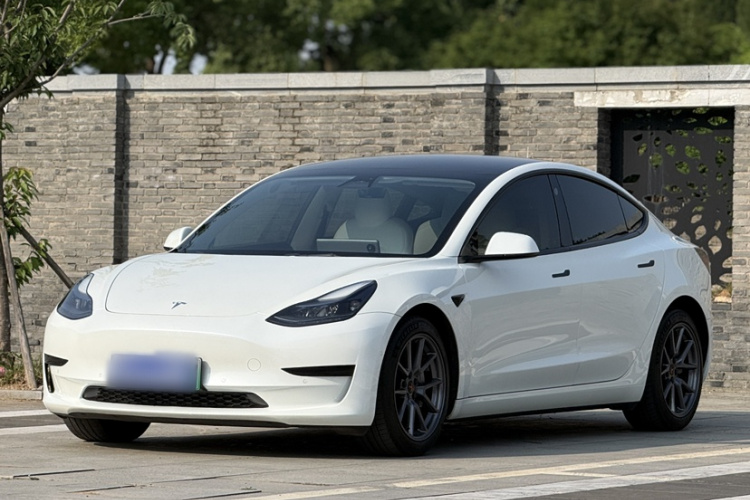Tesla Model 3 2023 #2 Tesla Model 3 2023 car image #2