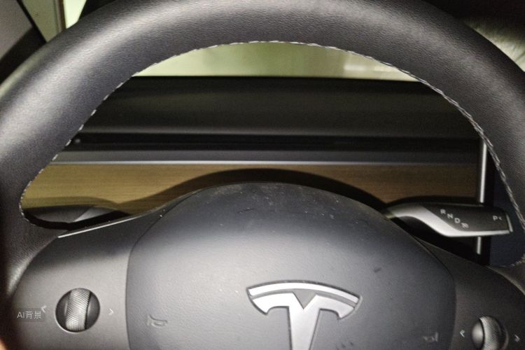 Tesla Model Y 2022 car image #13