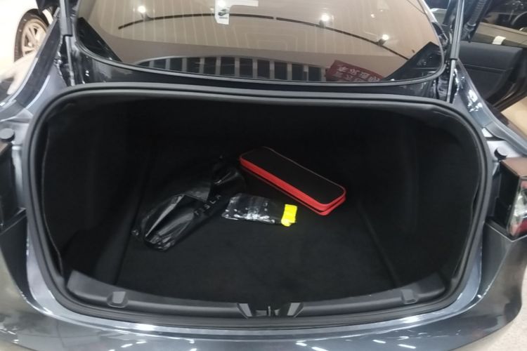 Tesla Model 3 2020 #19 Tesla Model 3 2020 car image #19