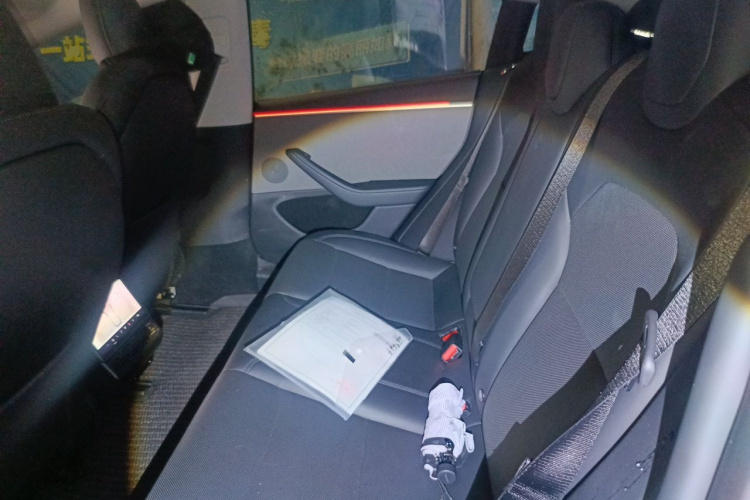 Tesla Model 3 2024 #10 Tesla Model 3 2024 car image #10