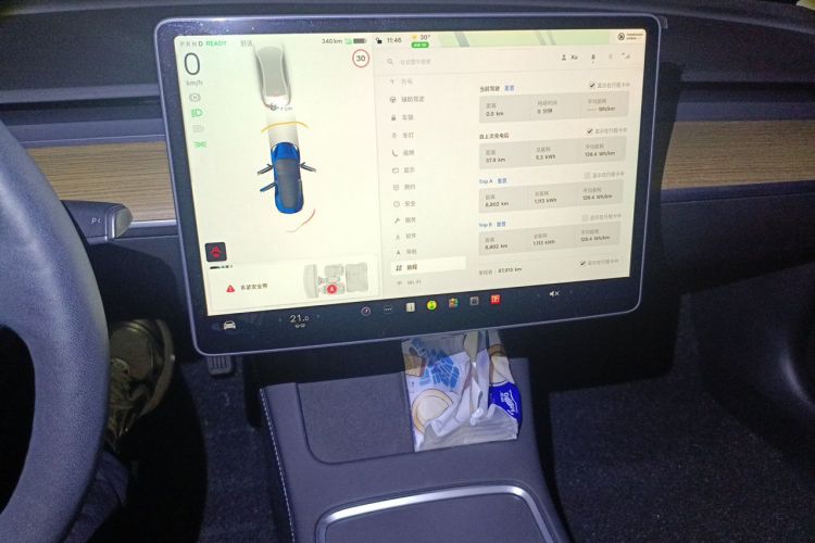 Tesla Model 3 2021 car image #17