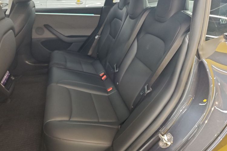 Tesla Model 3 2024 #17 Tesla Model 3 2024 car image #17