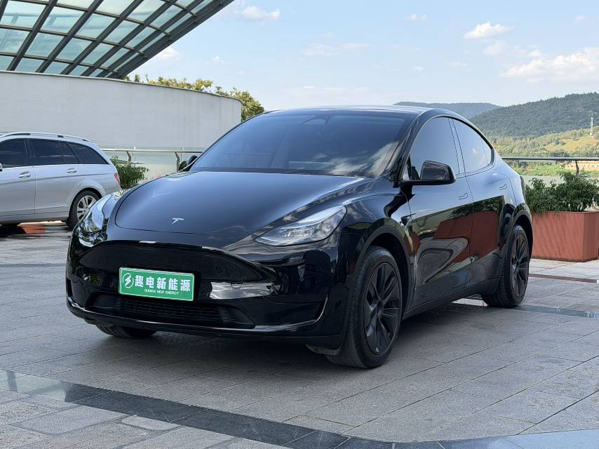 Tesla Model Y 2023 car image 